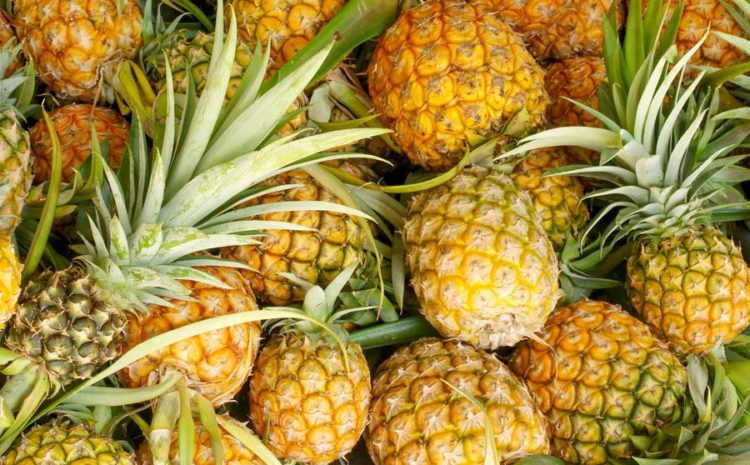 Jesmond-Fruit-Barn-Golden-Circle-Pineapple