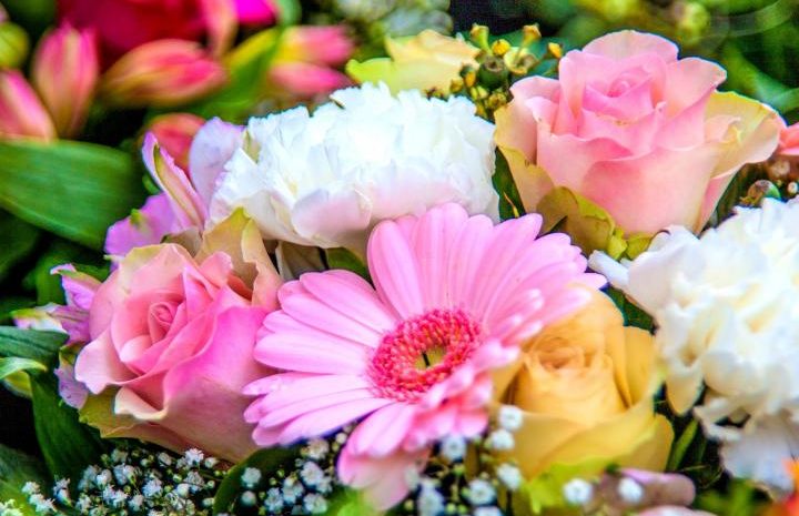 birth_month_flowers-primary-1920x1280px_pixabay